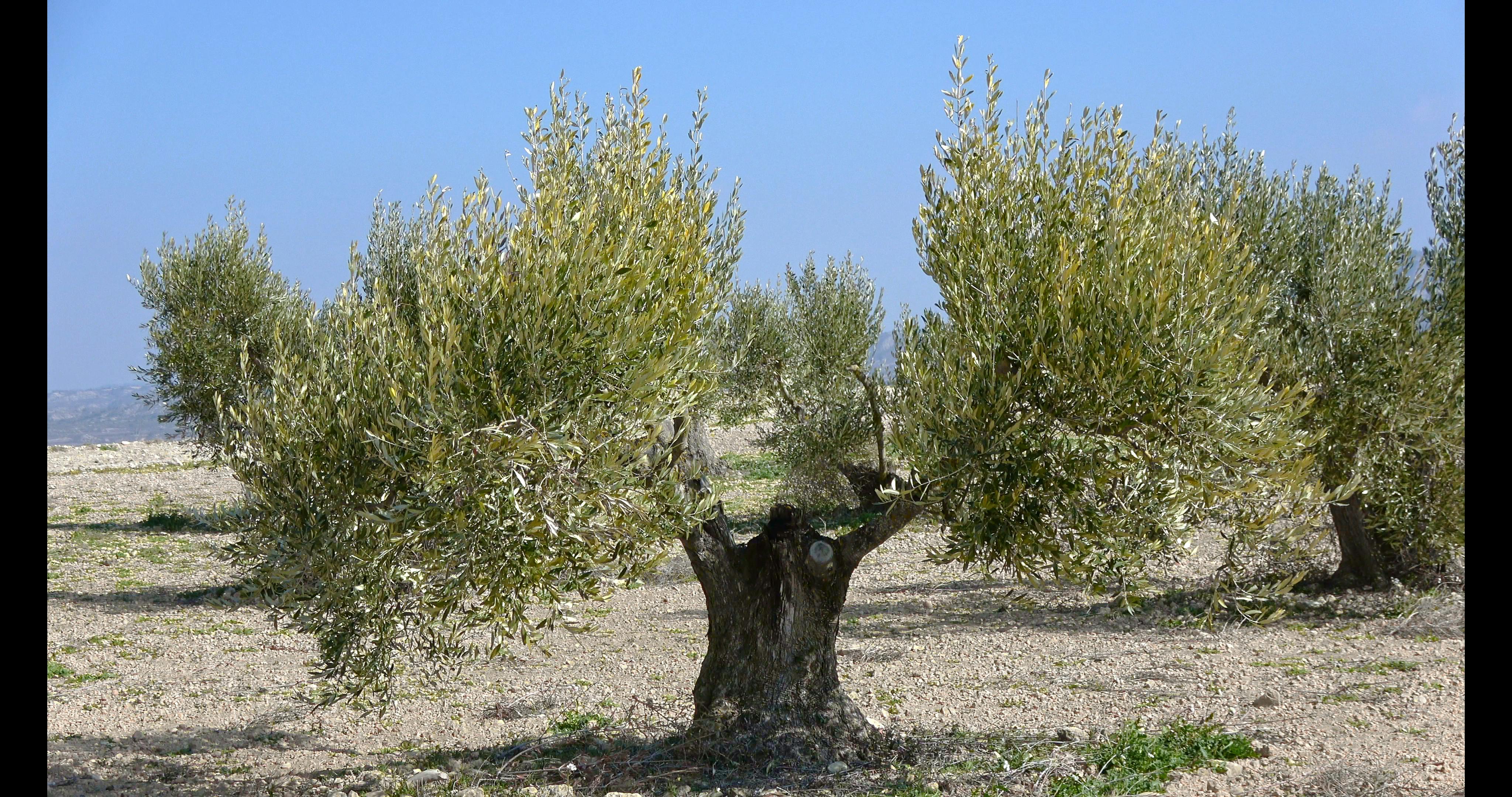 Rest Areas - Image 10